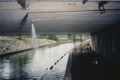 ichno36