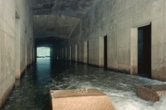 ichno47