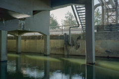 ichno53