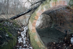ichno59
